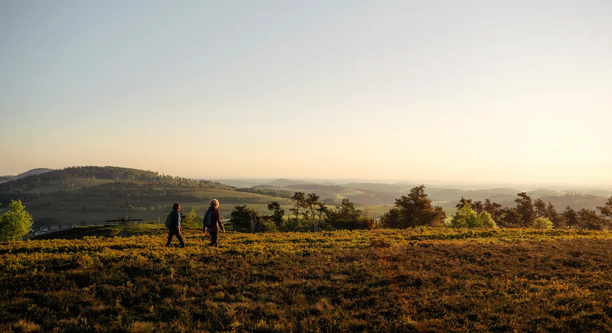 Hochheide bei Willingen im Sommer