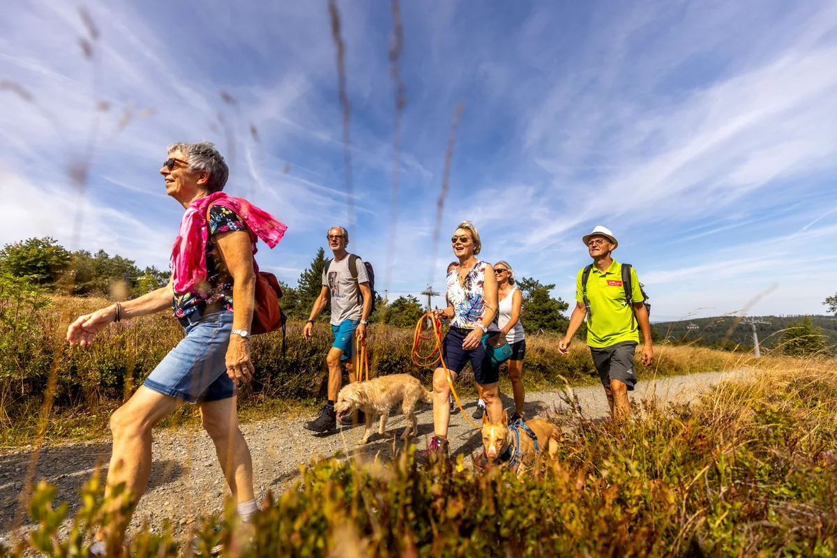Sentier de randonnée sur les hauteurs près de Willingen