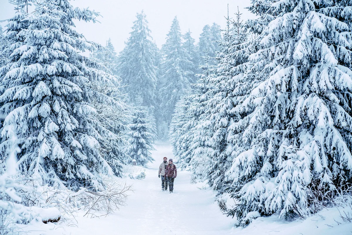Randonnée d’hiver près de Willingen